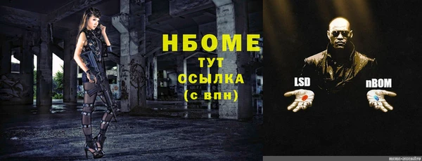 СК Медвежьегорск