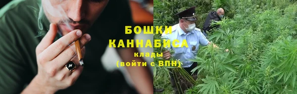 СК Медвежьегорск