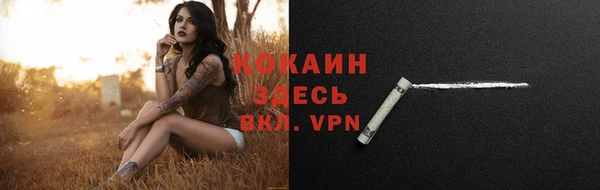 СК Медвежьегорск