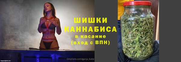PSILOCYBIN Лиски