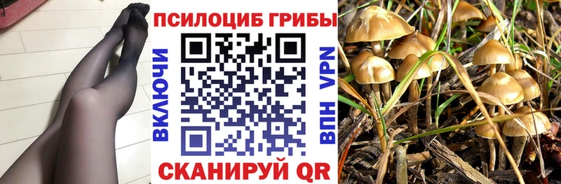 где купить Мелеуз Псилоцибиновые грибы мухоморы