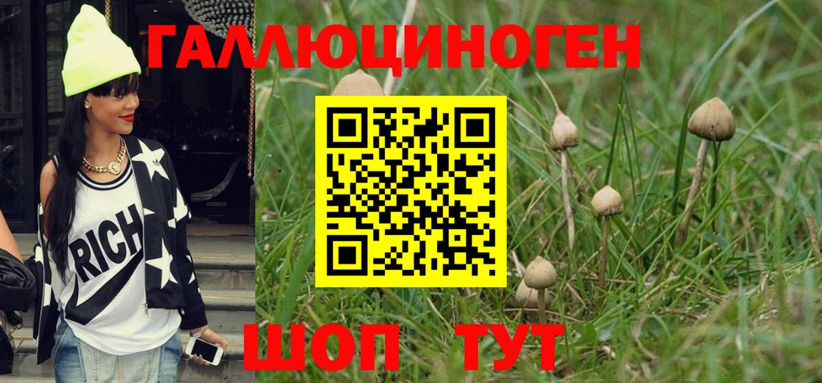 Галлюциногенные грибы мухоморы  Мелеуз 