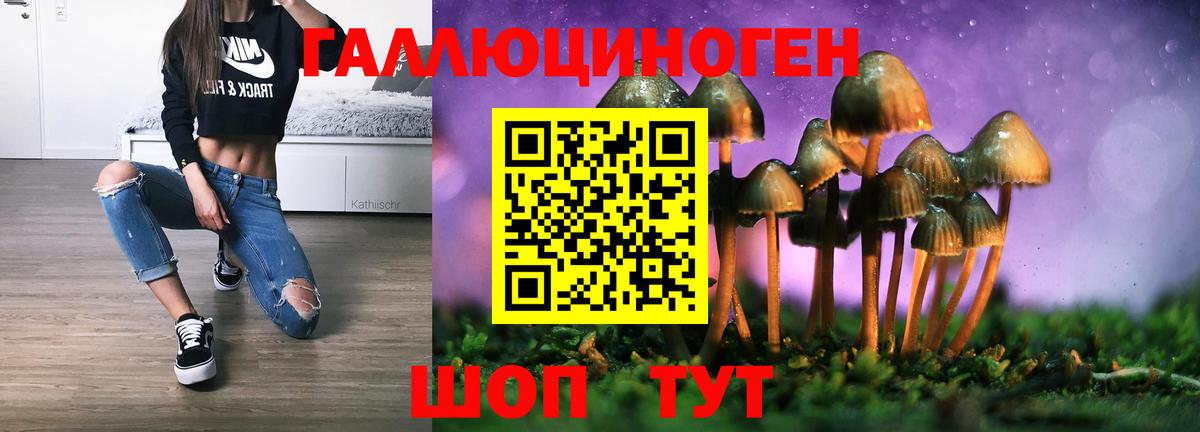 Псилоцибиновые грибы прущие грибы Мелеуз